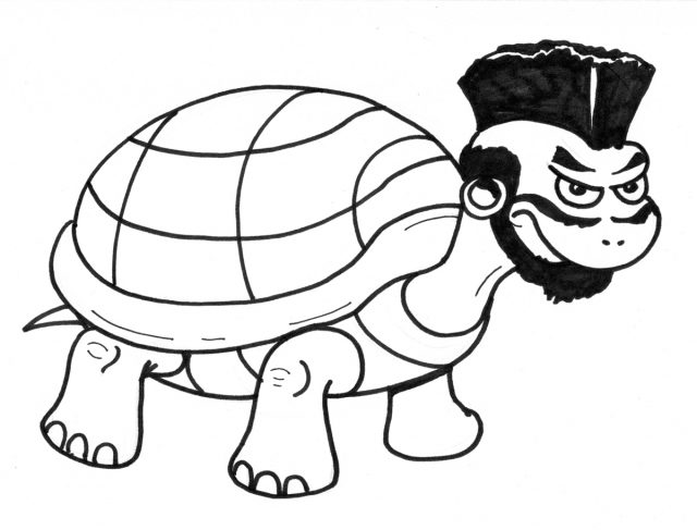Mr. T Turtle