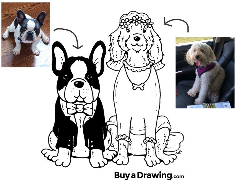 160126-Sarah-Bride-and-Groom-Dog-promo-dogs