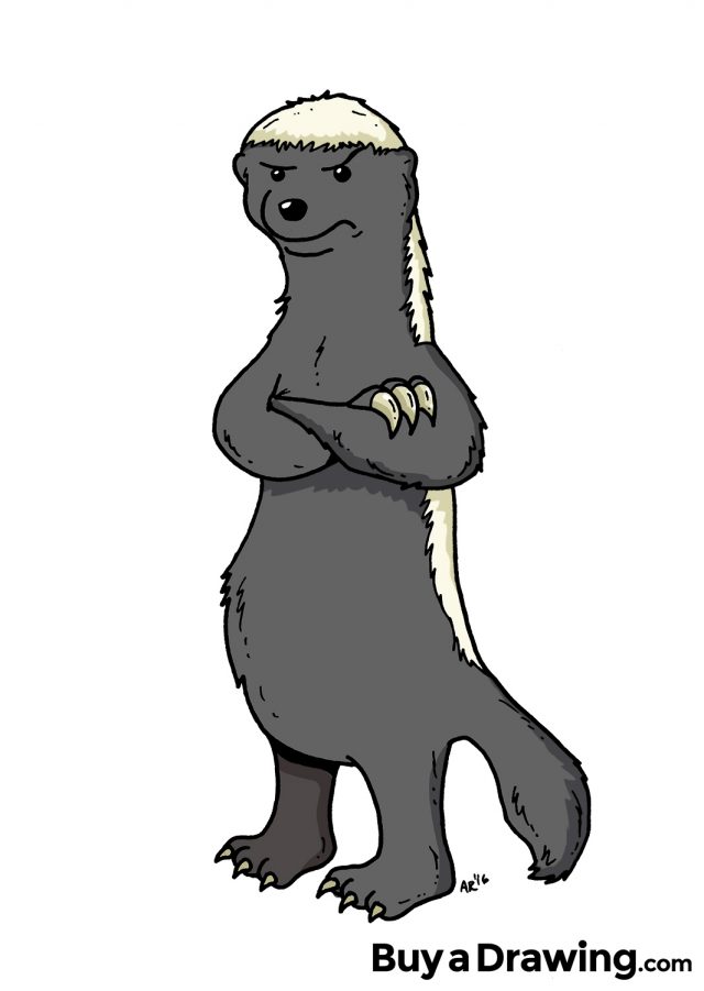 Honey Badger Cartoon Character Drawing by Aaron Riddle